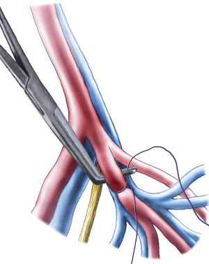 28b136f6ed6ff2b2.doplnek_1