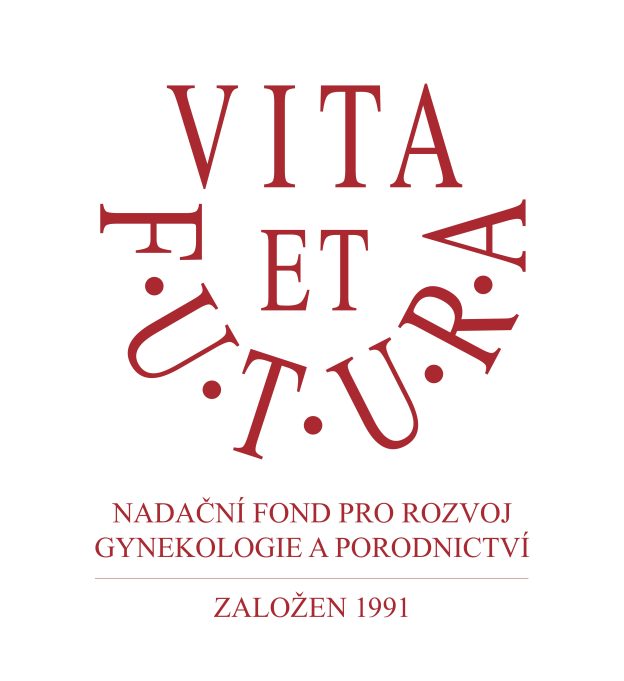 3eb5ef079de04a43.VF_1991 (kopie)