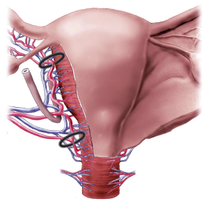 552e327576e18a65.PK_5a_1