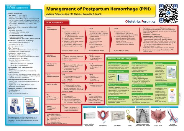 a211d7e17a961031.Poster_ PPH _ ENG_Strnka_1