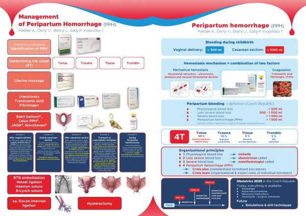 fe220bd9ac500567.Poster_ PPH _ ENG_Strnka_2